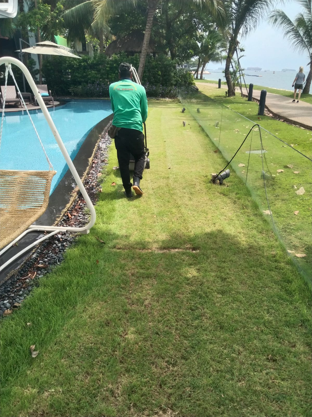 Commercial Lawn Maintenance